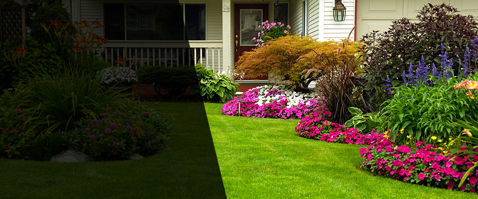 Washington Landscapers